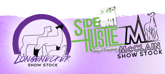 Longenecker Show Stock - Side Hustle Sheep Company - McClain Show Stock