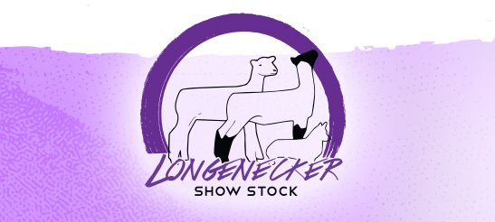 Longenecker Show Stock