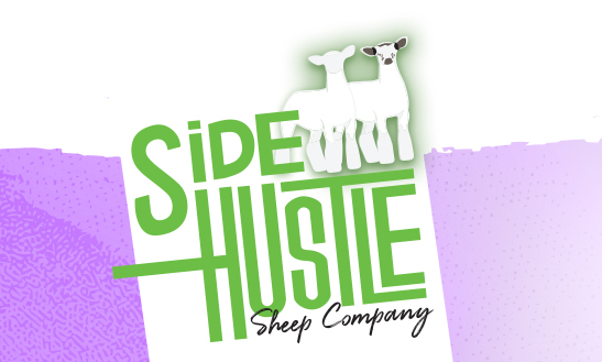 Side Hustle Sheep Company