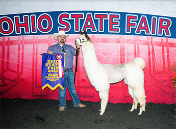 Longenecker Llamas Mallory