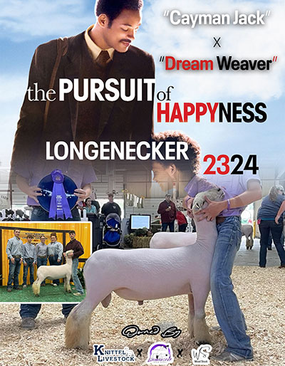 Pursuit of Happyness