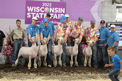 Longnecker Showstock Winners