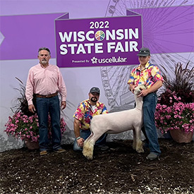 Longnecker Showstock Winners