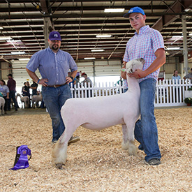 Longnecker Showstock Winners